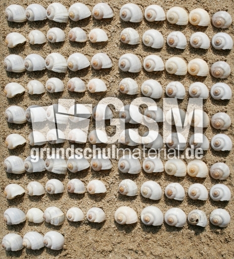 Schneckenhäuser-93.jpg